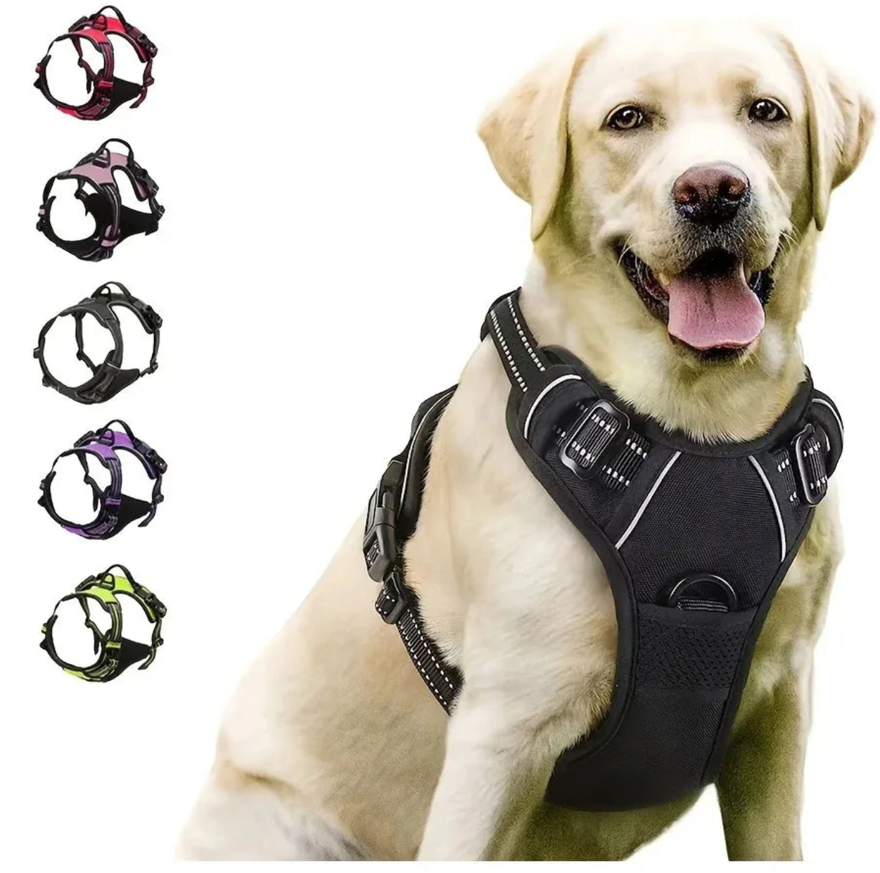 Pack Paseos Seguros | Arnés + Collar LED + Bolsas | PetLux