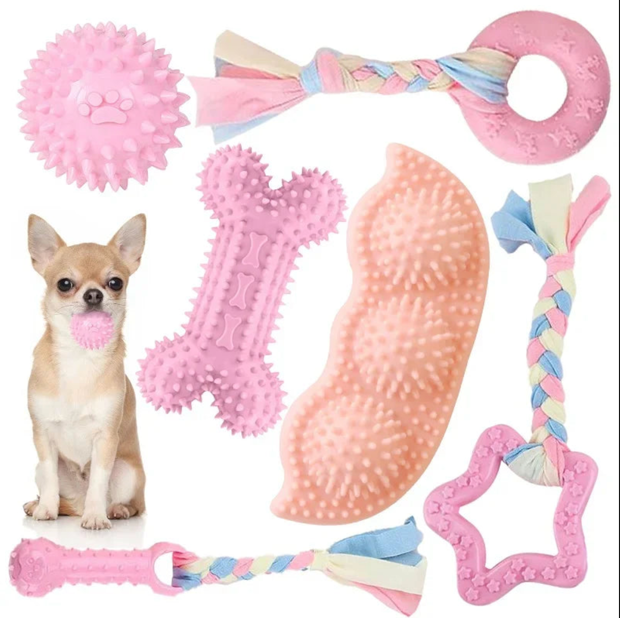 Pack Variado de 5 Juguetes para Perros | Diversión Garantizada | PetLux