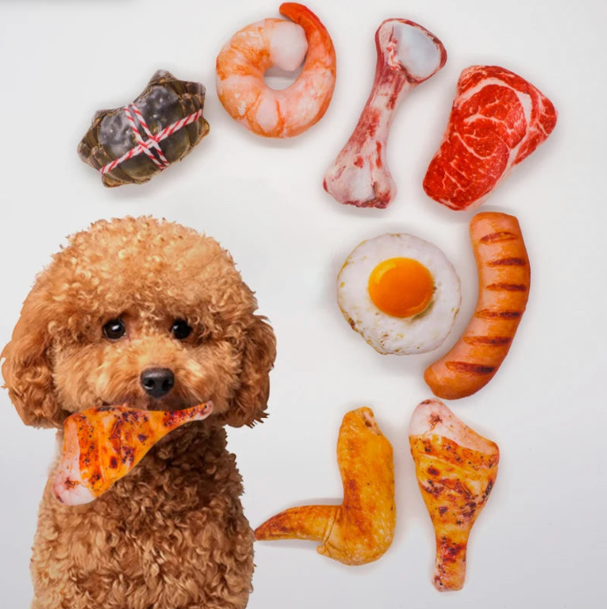 Pack Variado de 5 Juguetes para Perros | Diversión Garantizada | PetLux