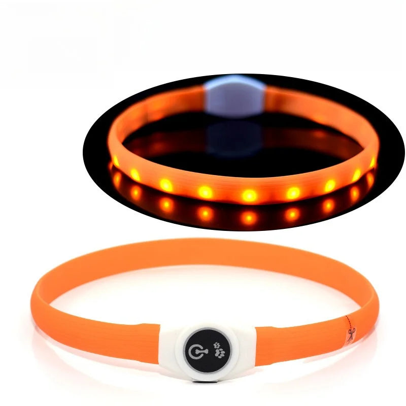 Collar Luminoso LED para Perros – Seguridad Nocturna | PetLux