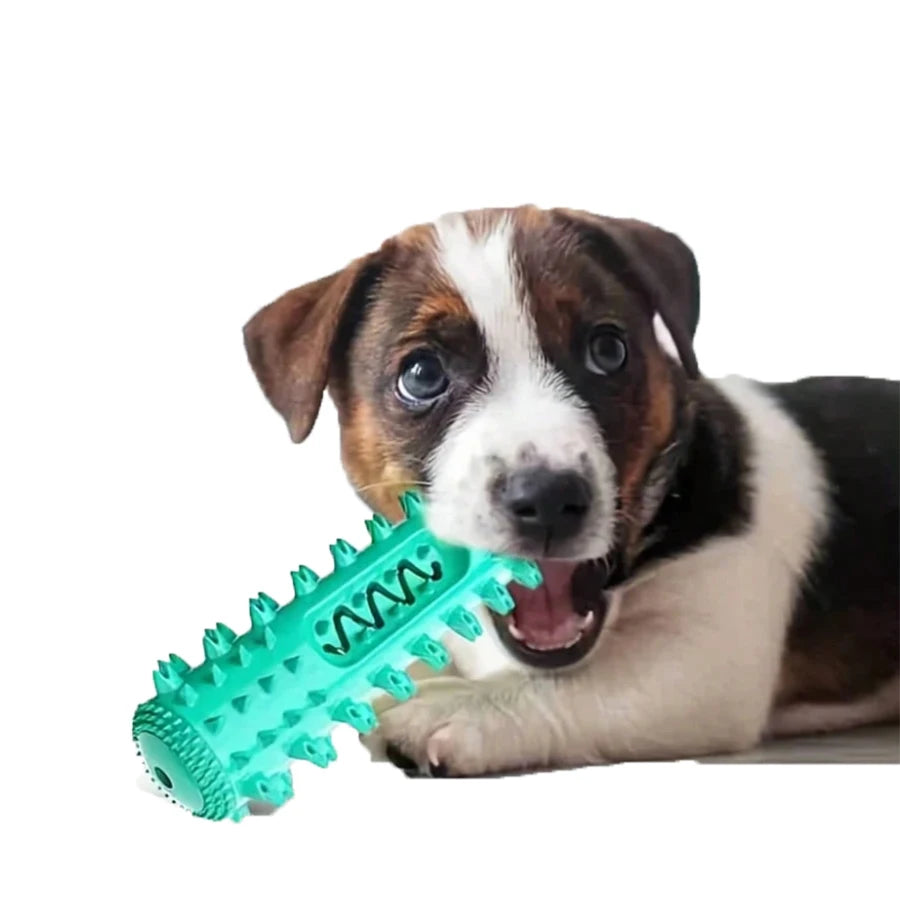 Juguete Masticable Dental para Perros | Limpieza Profunda | PetLux