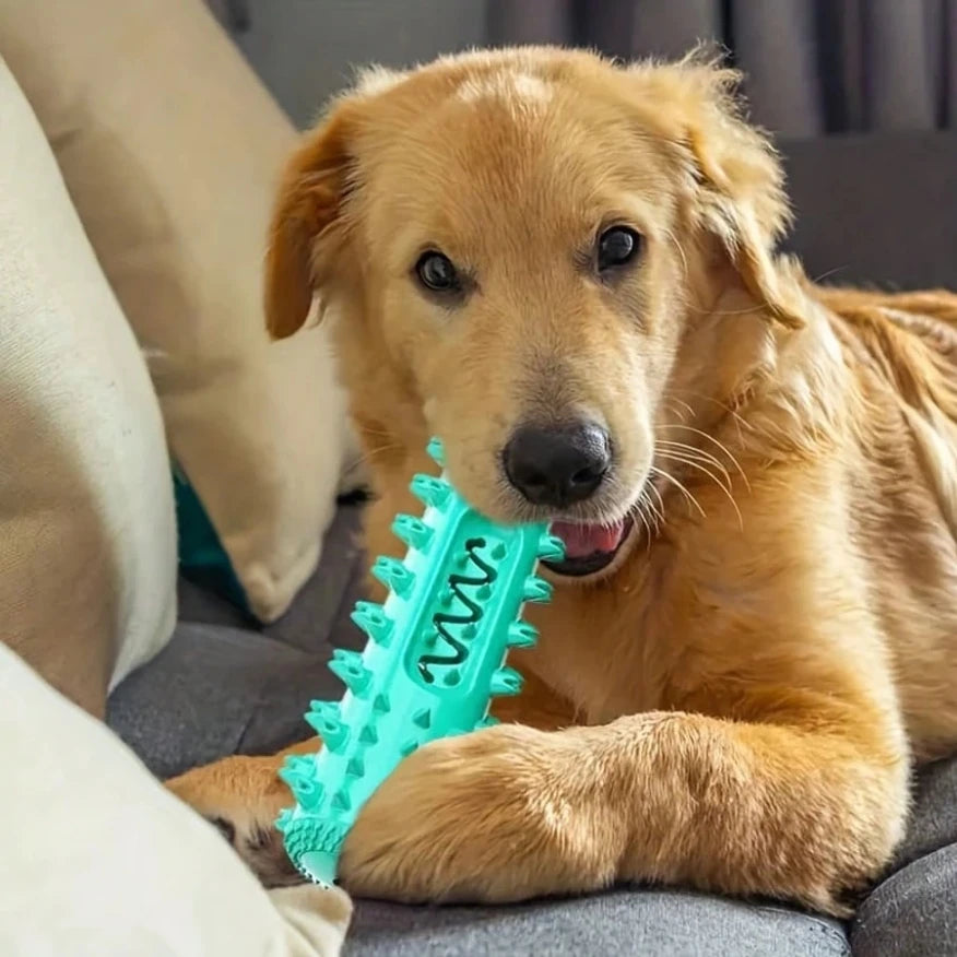 Juguete Masticable Dental para Perros | Limpieza Profunda | PetLux