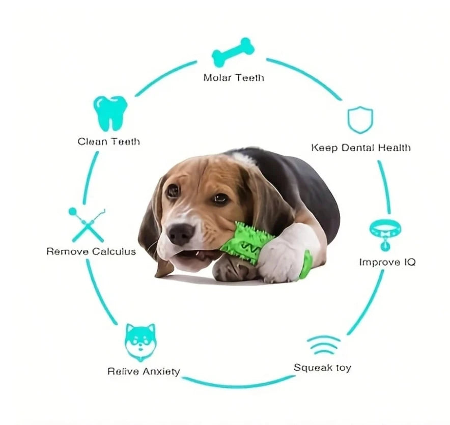 Juguete Masticable Dental para Perros | Limpieza Profunda | PetLux