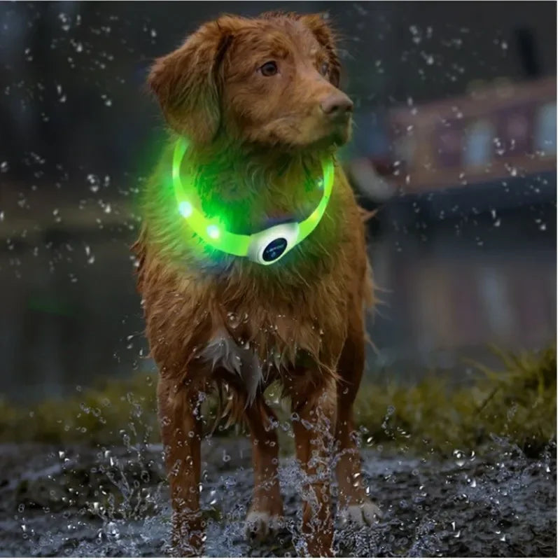 Collar Luminoso LED para Perros – Seguridad Nocturna | PetLux