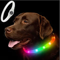 Collar Luminoso LED para Perros – Seguridad Nocturna | PetLux