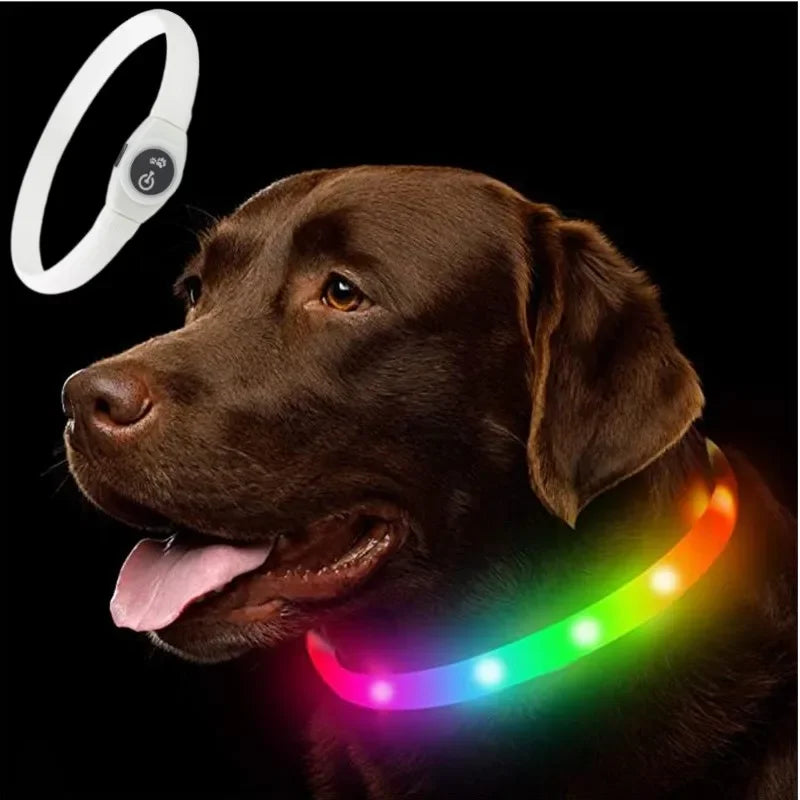 Collar Luminoso LED para Perros – Seguridad Nocturna | PetLux