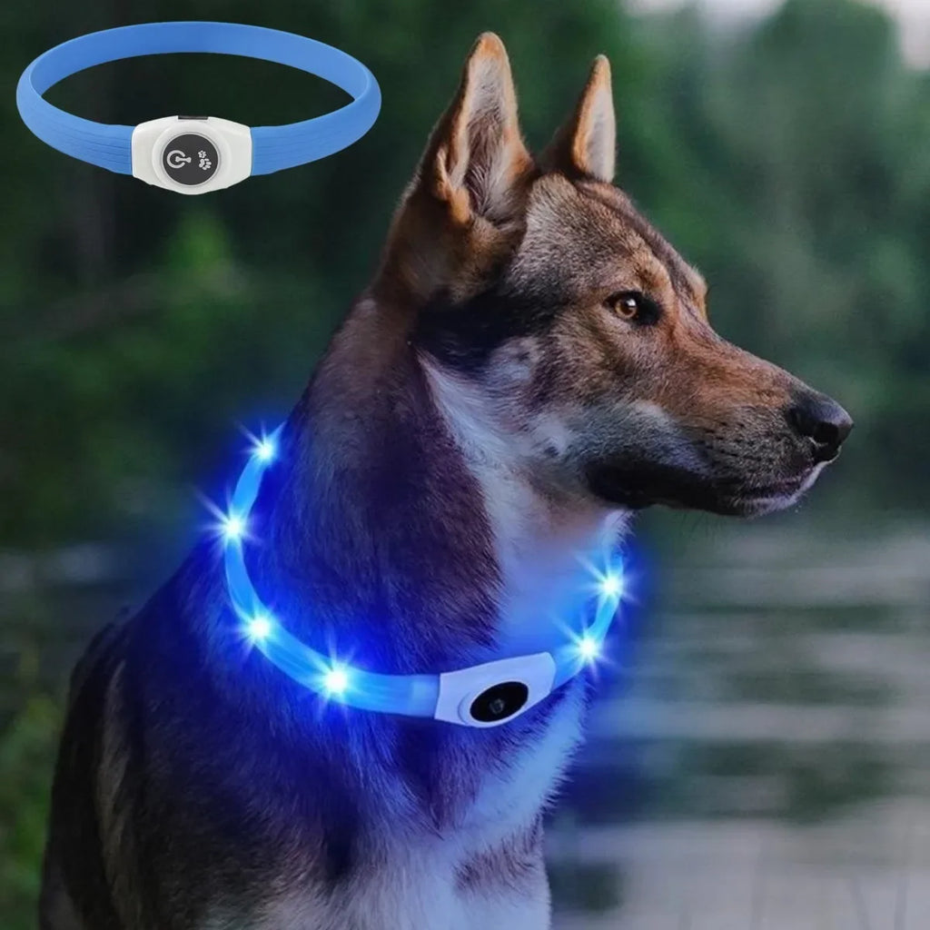 Collar Luminoso LED para Perros – Seguridad Nocturna | PetLux
